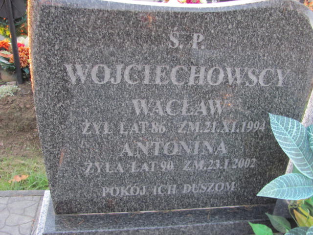 Wacław Wojciechowski 1908 Garbatka Letnisko - Grobonet - Wyszukiwarka osób pochowanych